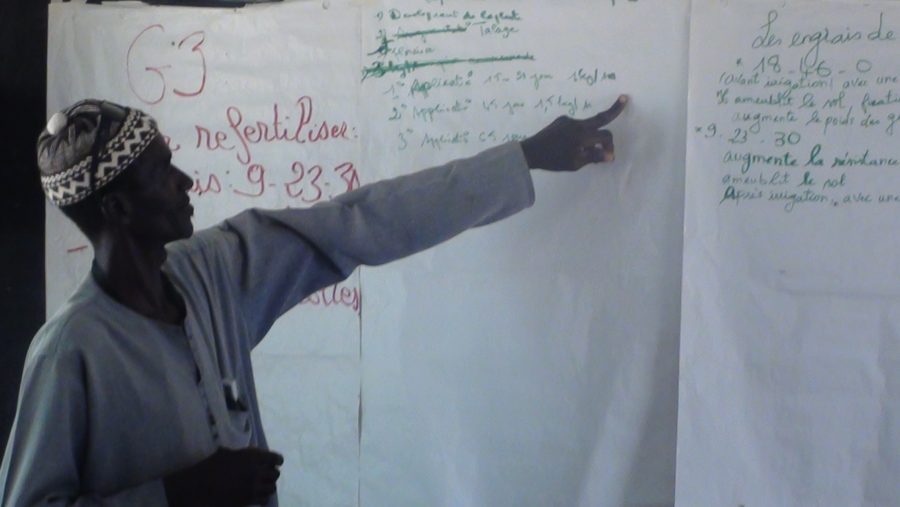 Ateliers de formation sur «l’Entretien des cultures du riz »