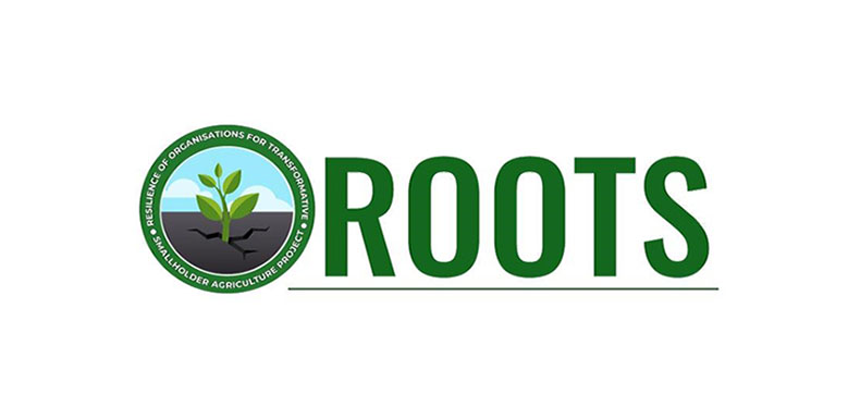 Resilience of Organizations for Transformative Smallholder Agriculture Project (ROOTS)